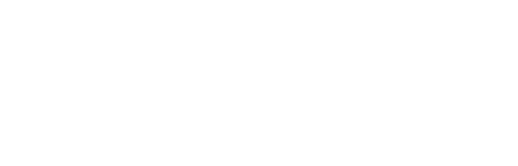 Vernier & Associates, PLLC